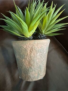 Pottery Barn Faux Succulent Plant with Terracotta Pot ~ 10 1/2” Tall